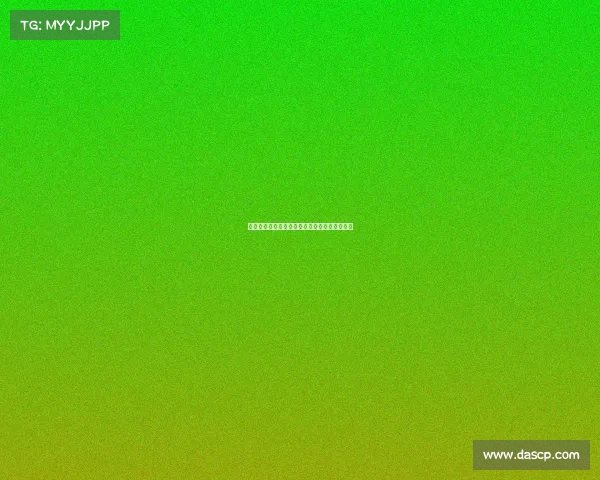 网球比赛队员名单及其阵容分析与比赛策略探讨